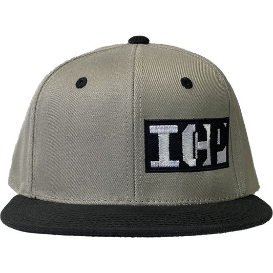 "Block Logo" Fitted Flat Bill Hat In Grey