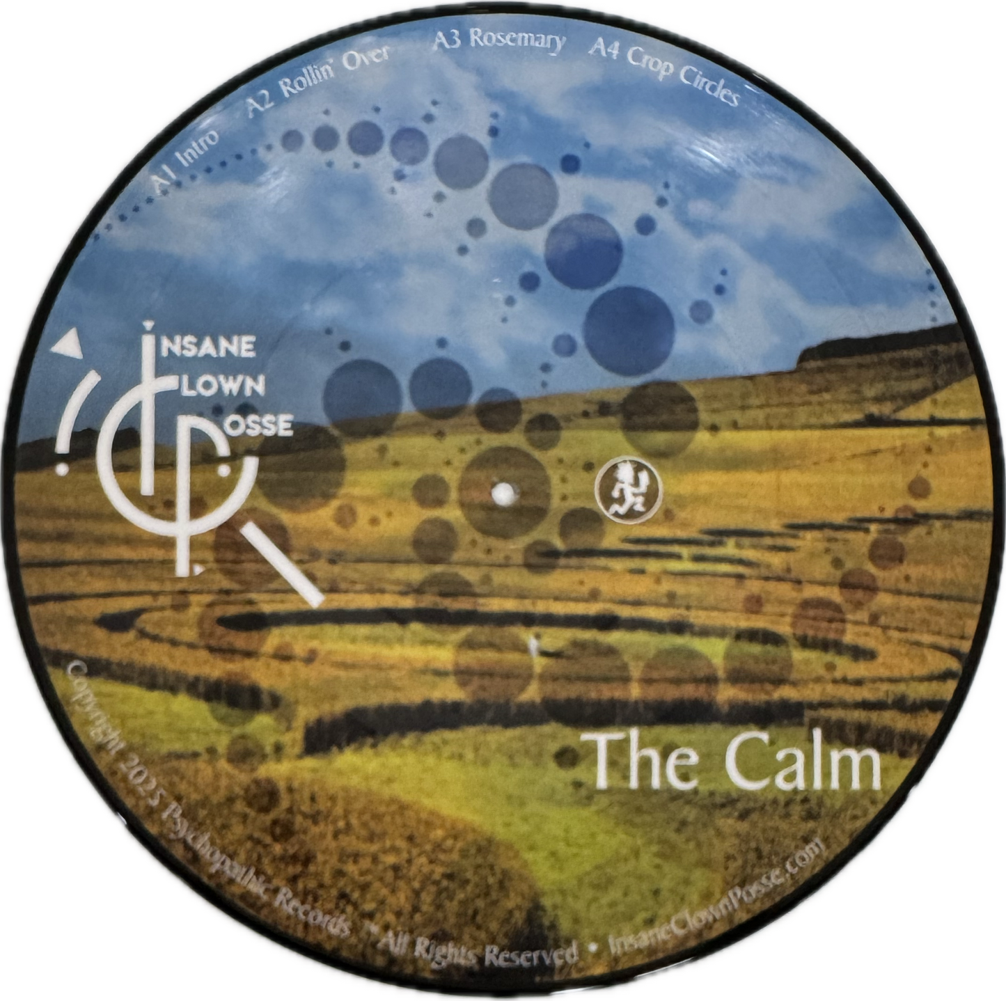 The Calm Picture Vinyl