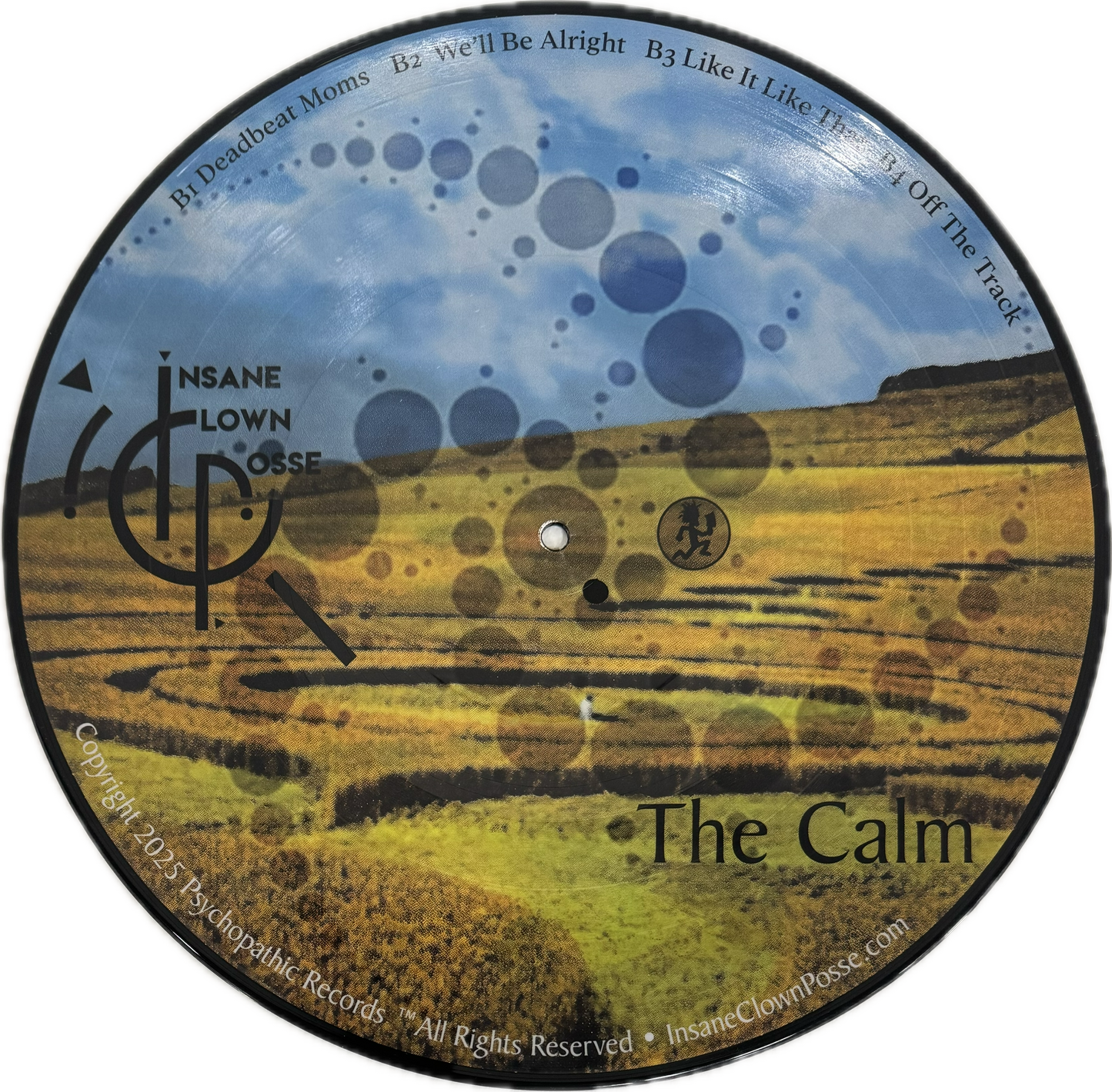 The Calm Picture Vinyl