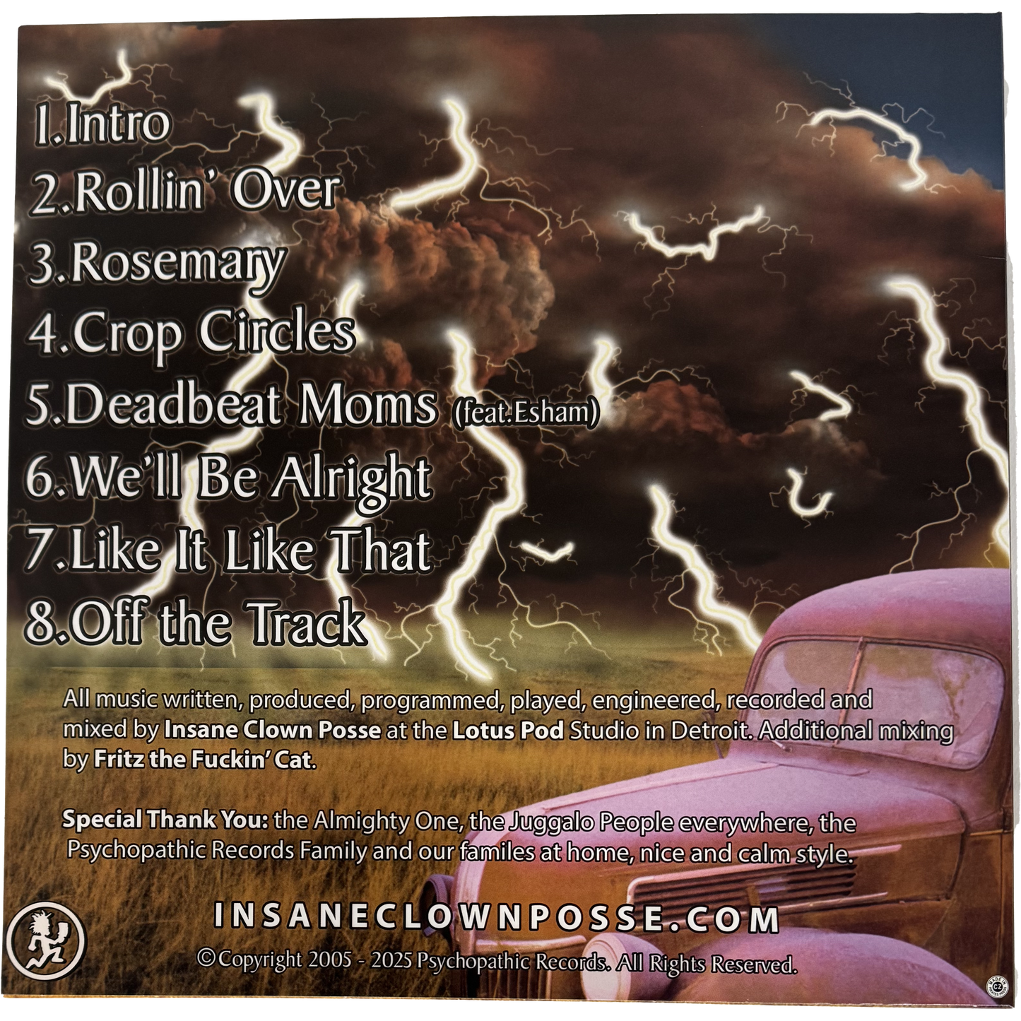 The Calm Picture Vinyl